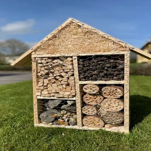 Bee Hotel