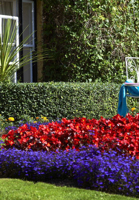 Exterior With Turquoise Throw